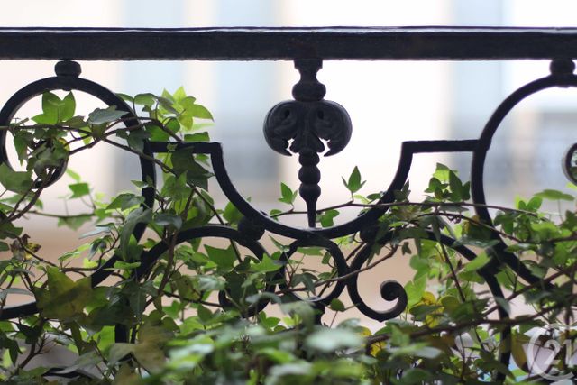 appartement - PARIS - 75004